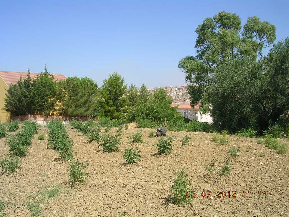 Tomt i Cianciana, Agrigento - bilde 2